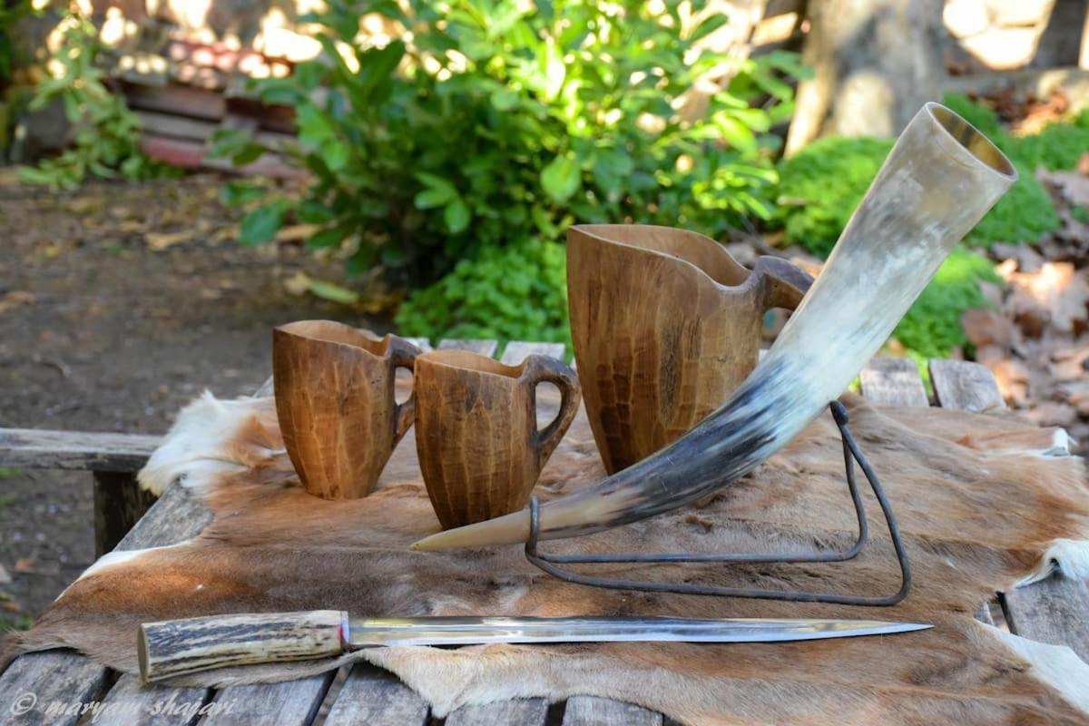 El descanso de Odín ¡Una auténtica posada vikinga! Mataelpino Exterior foto